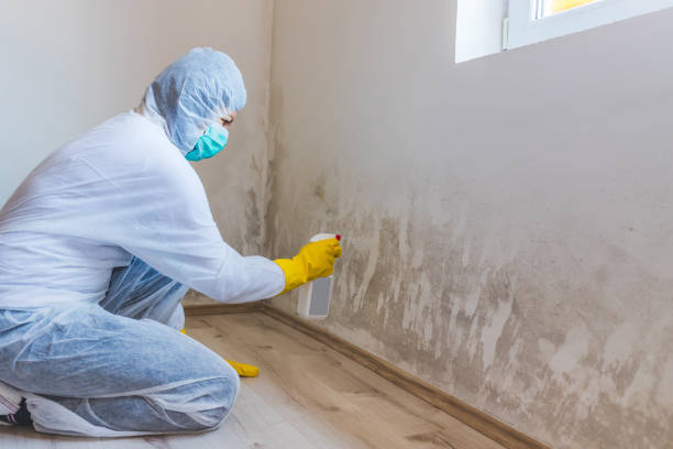Commercial Mold Remediation assessment for commercial property in Skokie